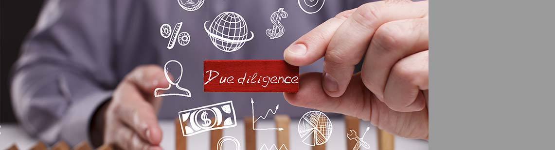 Due Diligence
